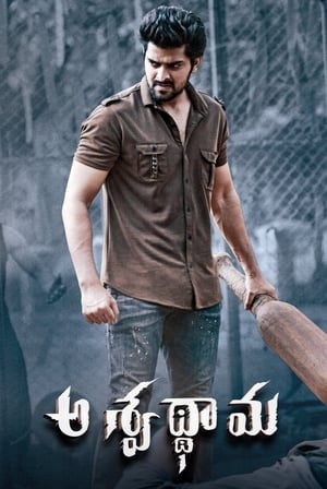 Aswathama 2020 (Hindi – Telugu) Dual Audio [960MB]